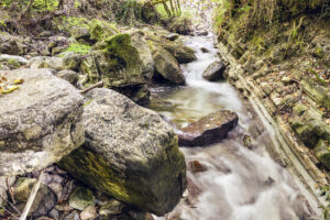 Torrente Fiastrone