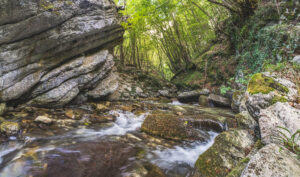 Torrente Fiastrone